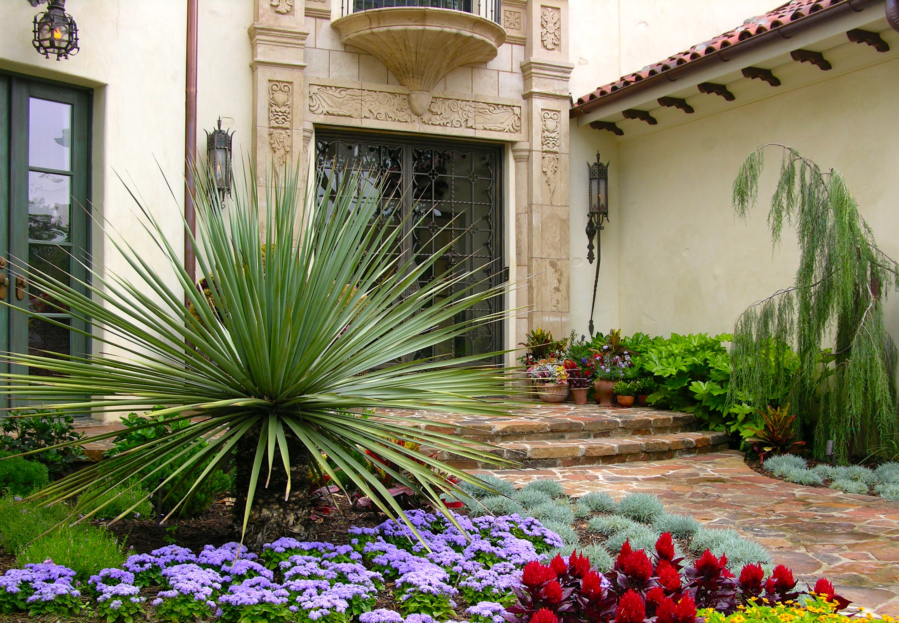 Spanish Colonial Estate desert landscape detail - Spanish Colonial landscape design by Original Landscape Concepts in Dallas