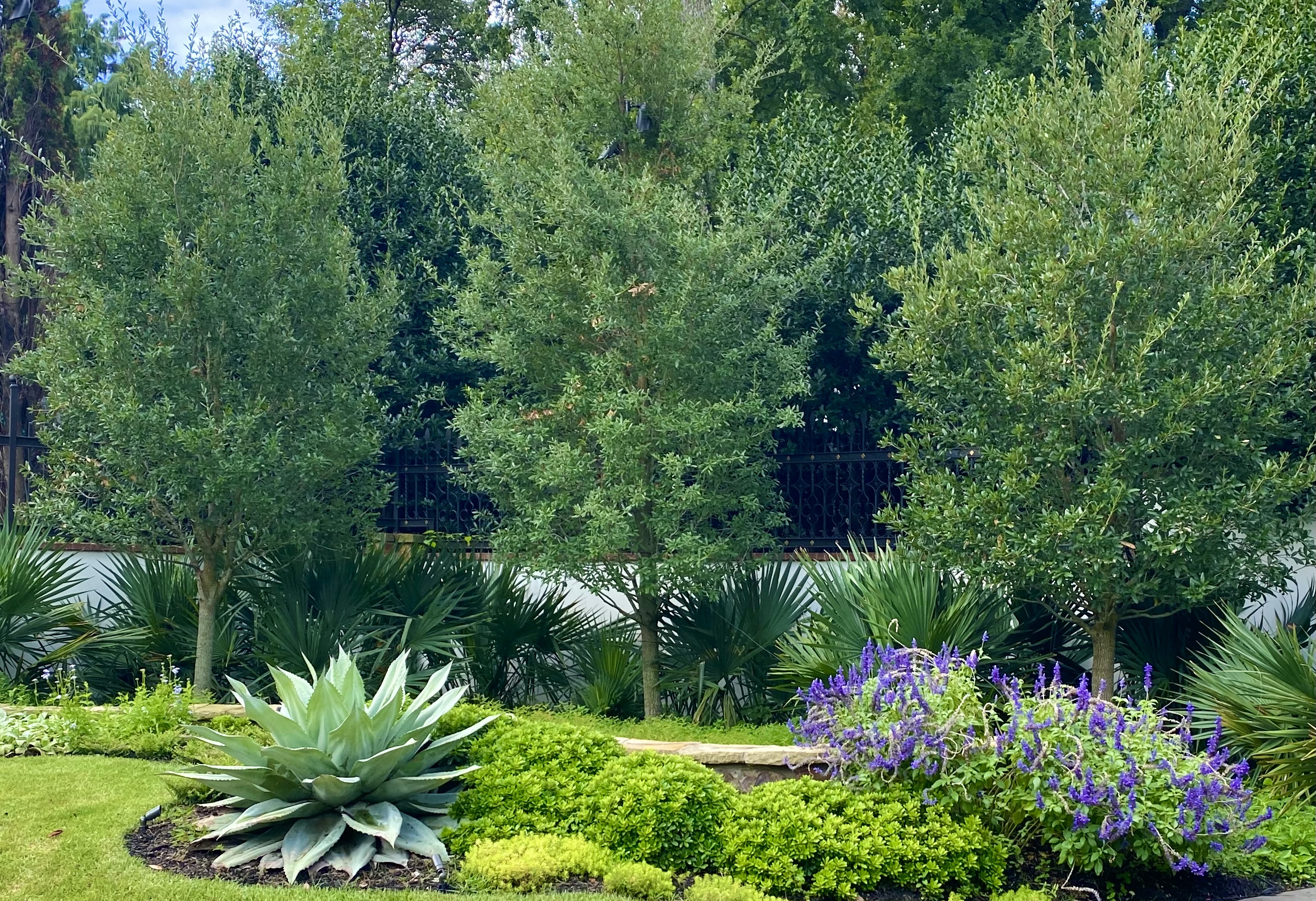 Spanish Colonial Estate estate landscape view 14 - residential landscape architecture in Dallas TX