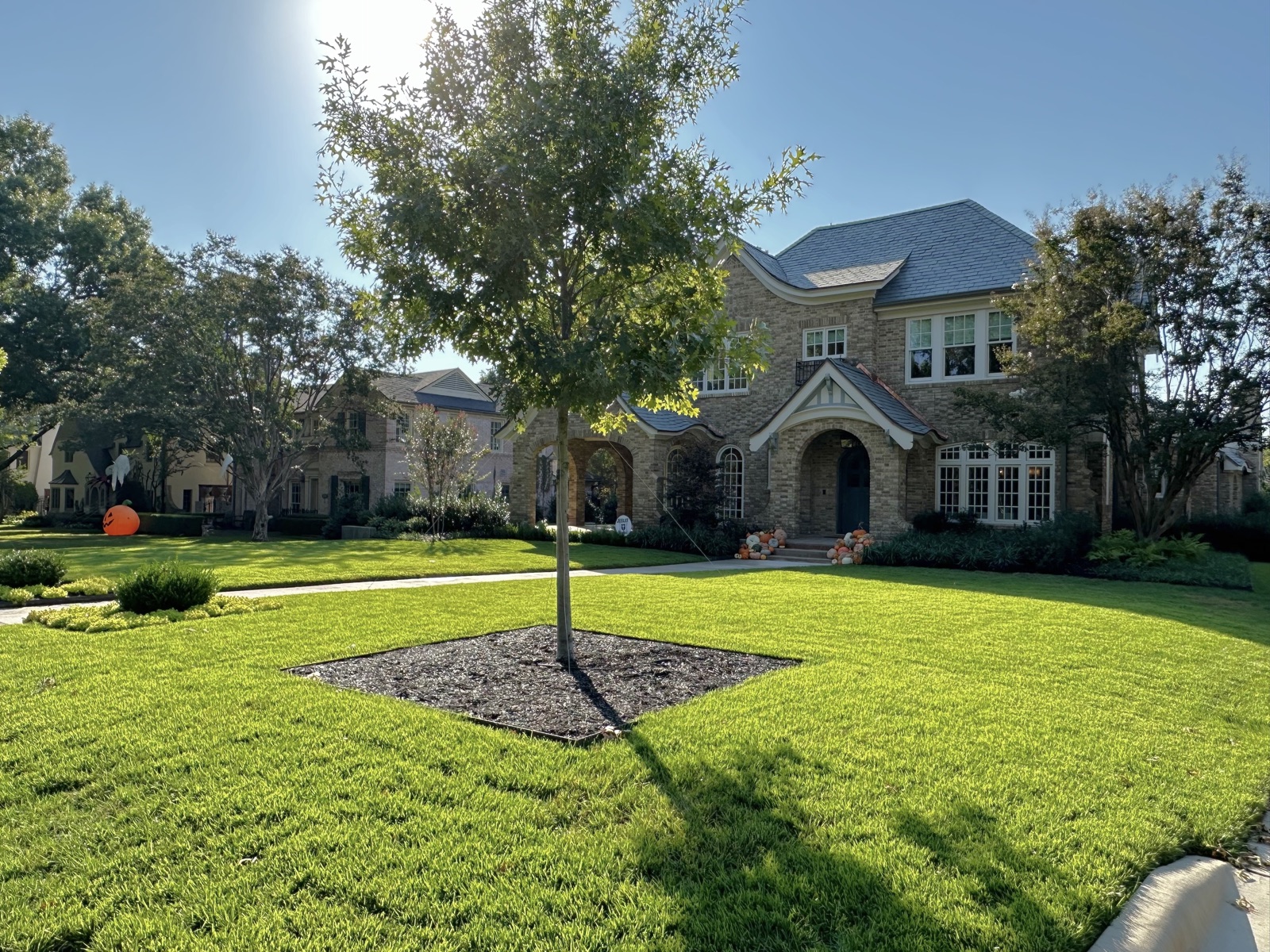 Historical Tudor landscape view 5 - residential landscape design in Dallas TX