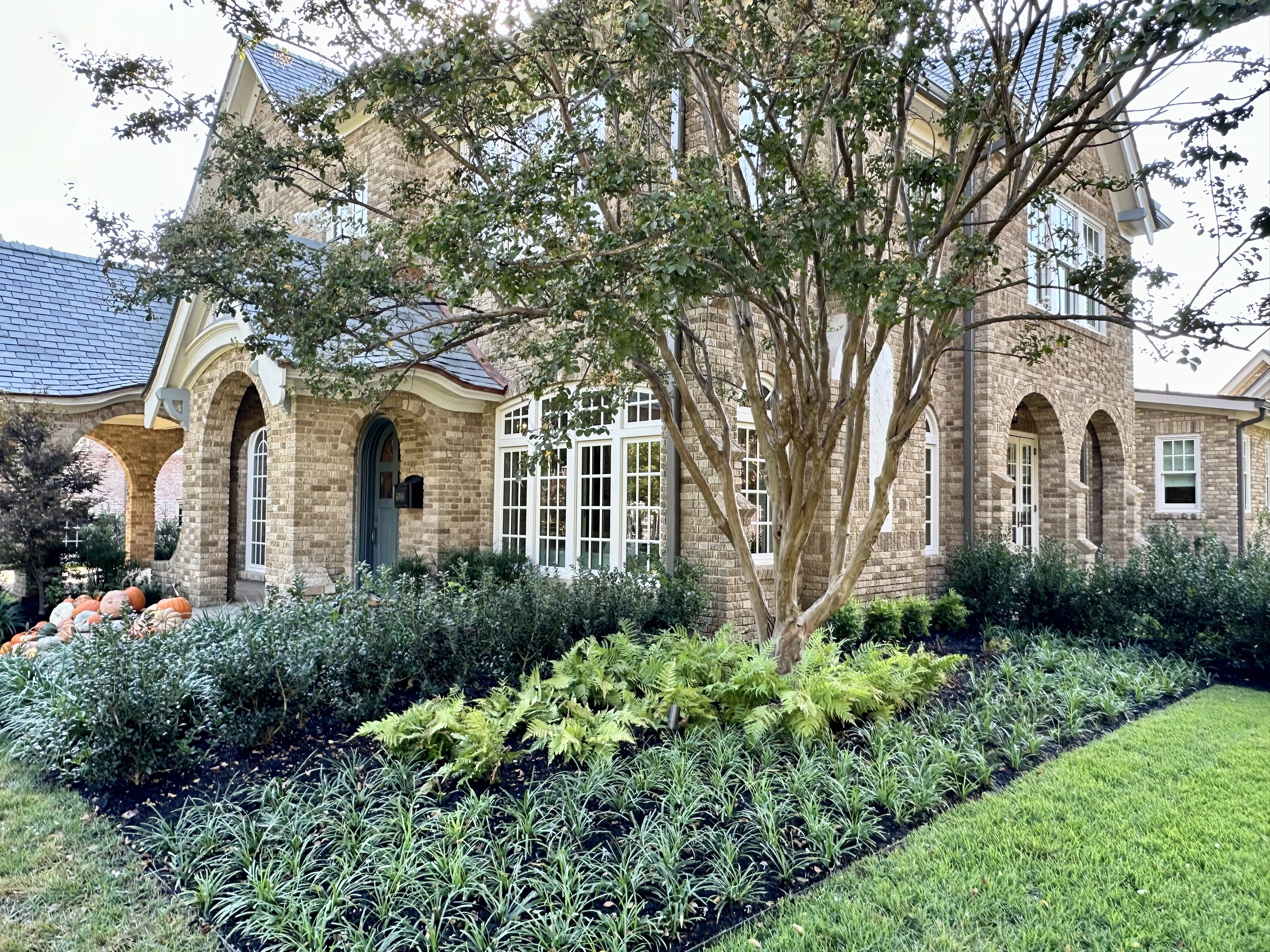 Historical Tudor period landscape front yard in Lakewood Dallas
