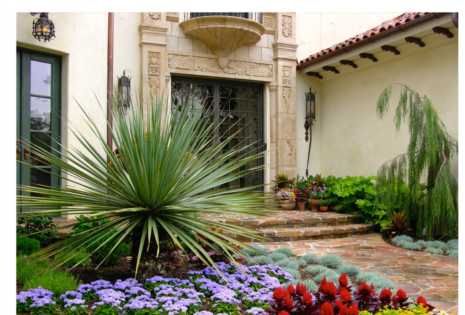 Modern Spanish Colonial estate entry with agave and flowering garden - luxury landscape design by Original Landscape Concepts in North Dallas